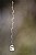 gota de agua