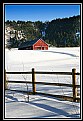 Picture Title - Columbine winter