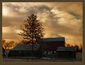 Picture Title - Barn and the Tree