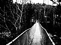 Picture Title - Bridge to Alice