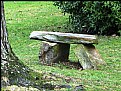 Picture Title - Backyard Stonehenge?
