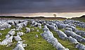 Picture Title - Malham Limestone