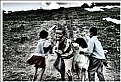 Picture Title - kids playing
