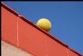 Picture Title - Suicide Ball