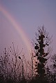 Picture Title - Rainbow