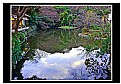 Picture Title - Heike Pond reflections