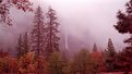 Picture Title - Yosemite Falls in FOG