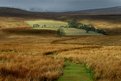 Picture Title - Footpath to the Beacons