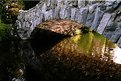 Picture Title - Reflection