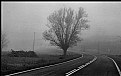 Picture Title - Road and Fog