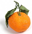 Picture Title - small orange