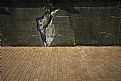 Picture Title - The cracked wall