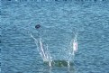 Picture Title - Skipping Stone