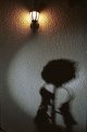 Picture Title - Shadow.
