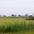 Chalker Beach Wetland