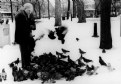 Picture Title - Pigeons gather at her feet