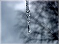 Picture Title - Beauty in ice