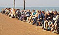 Picture Title - Sunbathing