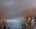 Picture Title - Glasses, trees and clouds