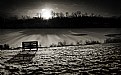 Picture Title - Winter's Isolation