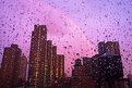 Picture Title - NY after the rain