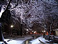 Picture Title - Winter Night