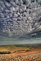 Picture Title - tuscany landscape