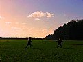 Picture Title -  The joy on the meadow...