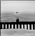 Picture Title - snow