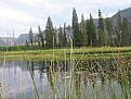 Picture Title - Grand Teton