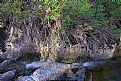 Picture Title - Sidestream, Bogong Creek