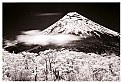 Picture Title - [[Osorno Volcano 1]] IR