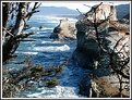 Picture Title - Cape Kiwanda Landscape