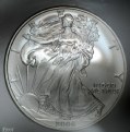 Picture Title - Silver