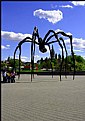 Picture Title - Big Spider