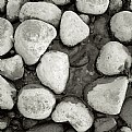 Picture Title - Stones from Adige