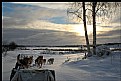 Picture Title - Sled Dog Adventure