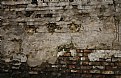 Picture Title - A battered old wall