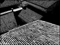 Picture Title - Roofs on B&W