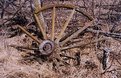Picture Title - Wheel of Unfortunate