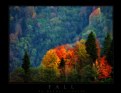 Picture Title - fall colours