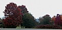 Picture Title - Colors
