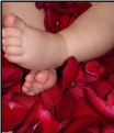 Picture Title - Rose Toes