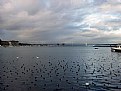 Picture Title - Lake Geneva in the evening