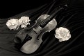 Picture Title - Violin with Roses