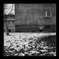 Picture Title - ***