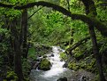 Picture Title - Nature's Arch