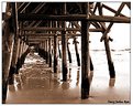 Picture Title - Under the pier