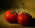 Picture Title - Fresh Tomatoes