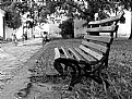 Picture Title - Solitary Bench